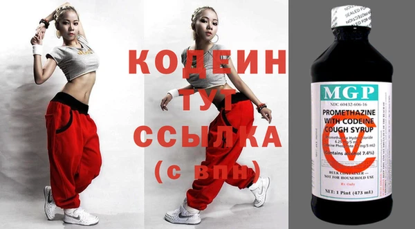 стаф Абаза